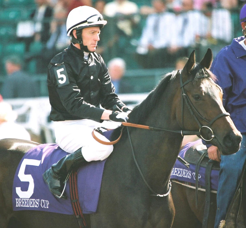 COLOR PHOTO OUIJA BOARD  2 time breeder's cup winner   Filly Mare Turf #3 Model