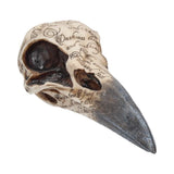 Nemesis Now Edgar's Raven Skull Figurine Handpainted Resin 21cm Model