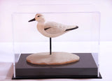 Custom acrylic display showcase memorabilia shadowbox dolls figurines domes Model