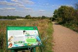 Photo 6x4 Information board for new reed beds Long Eaton Explaining what  c2010 Model