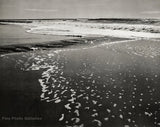 1960s Vintage WYNN BULLOCK Beach Sand Waves California Seascape Photo Art 12X16 Model