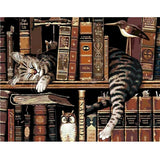 Paint By Numbers Adults kids Cats In Bookshelf DIY Painting Kit 40x50CM Canvas Model