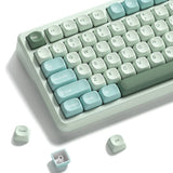 Dye Sublimation PBT Keycap for Mechanical Keyboard, MOA Profile, 126 Keys, Cu... Model