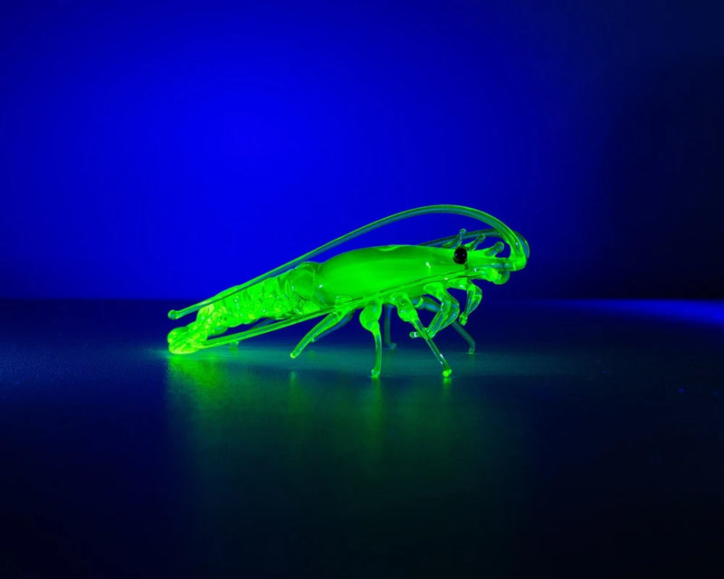 Uranium Glass Shrimp Figurine ¨C Handblown Lampwork Miniature, UV Reactive Model
