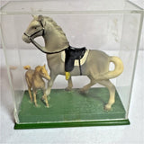 Vintage Plastic Horse Figurine Set in Display Case Collectible Model