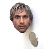 1/6 Scale Quicksilver Pietro Head Carving Sculpt Model Toys Model