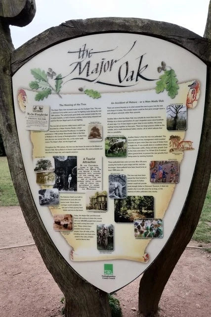 Photo A3 Information Board Edwinstowe Adjacent to the Major Oak. c2015 Model