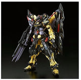 RG 1/144 Gundam Astray Gold Frame Amatsu Limited Plastic Model Kit Japan New Model