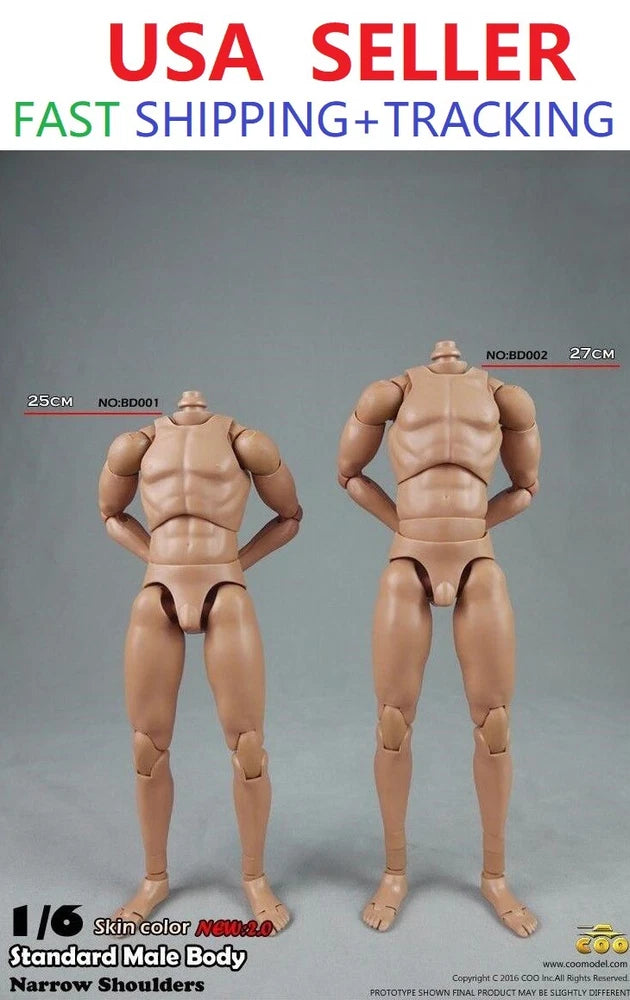 1/6 COOMODEL COO Narrow Shoulder Male Figure BD001 BD002 Ver 2.0 Model