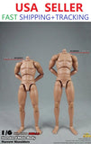 1/6 COOMODEL COO Narrow Shoulder Male Figure BD001 BD002 Ver 2.0 Model