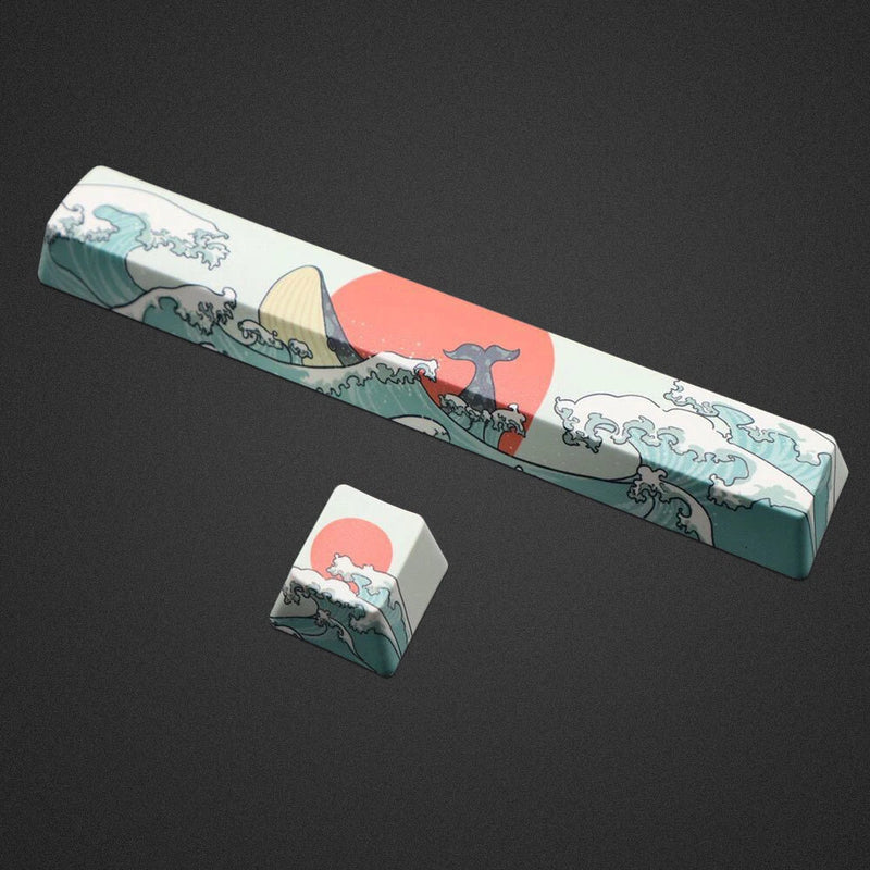 Coral Sea Dyesub PBT Keycaps Set ESC + Spacebar 6.25U fit Cherry MX Keyboards Model