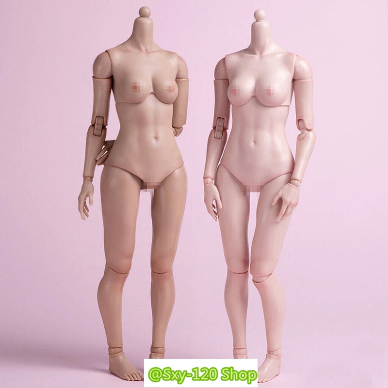 Worldbox AT201 Model 1/6 Pale/Suntan Female Body Gir Doll f 12in PH Figure Body Model
