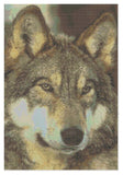 Cross Stitch Pattern by Florashell - Wolf Face Model