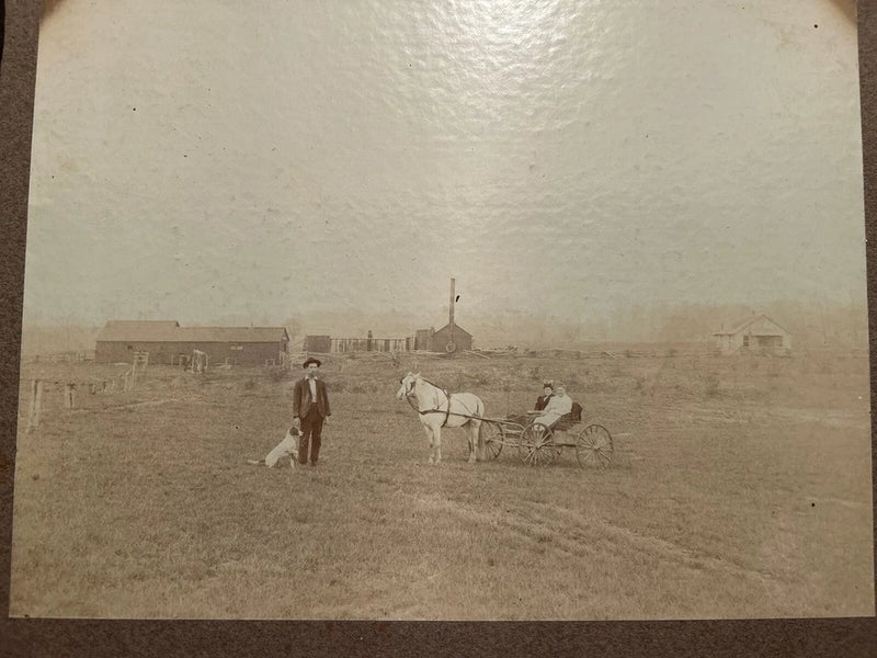 Antq. Photo On Board Huntington IN Rural Scene Couple In Wagon Man Dog Farm 1900 Model