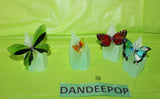 Swarovski Crystal 8 Piece Paradise Butterfly Set With Magnetic Display Model