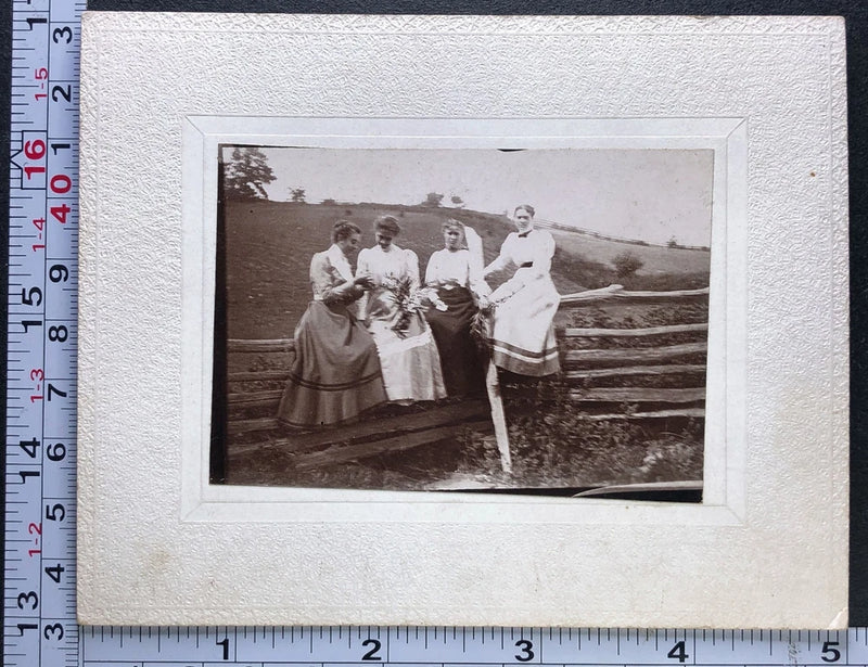 Victorian Board Mounted Antique Photograph - Woman Sitting on Wooden Fence Model