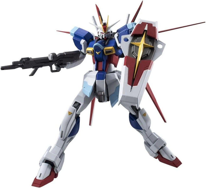 TAMASHII NATIONS ROBOT Spirits Mobile Suit Gundam SEED DESTINY [SIDE MS] Fo Model