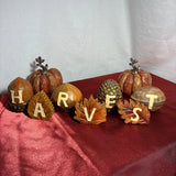 Fall Harvest Display  Figures 2-4¡± Resin Tabletop Decor Nuts Leaves Pumpkins Model