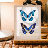Vintage Density Board Shadow Box Picture Frame for Dried Flower Display Decor Model