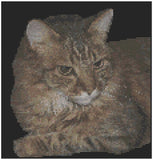 Cross Stitch Pattern by Florashell - Tabby Cat Model