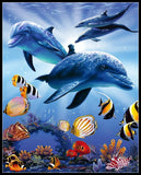 Counted Cross Stitch Kit Needlework Craft Embroidery DIY- Dolphins In Light Model