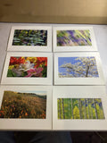 Set of 10 Flower Photos by Henry Domke 8¡± x 10¡± on Photo Board Paper Model