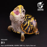 Animal Heavenly Body Ornate Box Turtle Resin Figurine Models Limited Painted Model