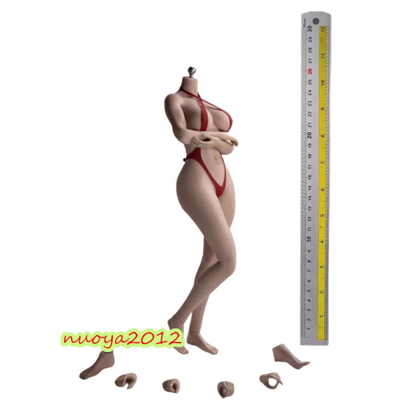 TBLeague 1/6 Female Suntan Skin Body Large Bust PLLB2023-S53A 12" Figure Model Model