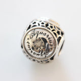Authentic Pandora Aquarius Star Sign, Zodiac Birthday Charm 791934 Charms