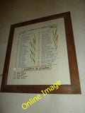 Photo 6x4 St Mary, Pilsdon: incumbency board  c2013 Model
