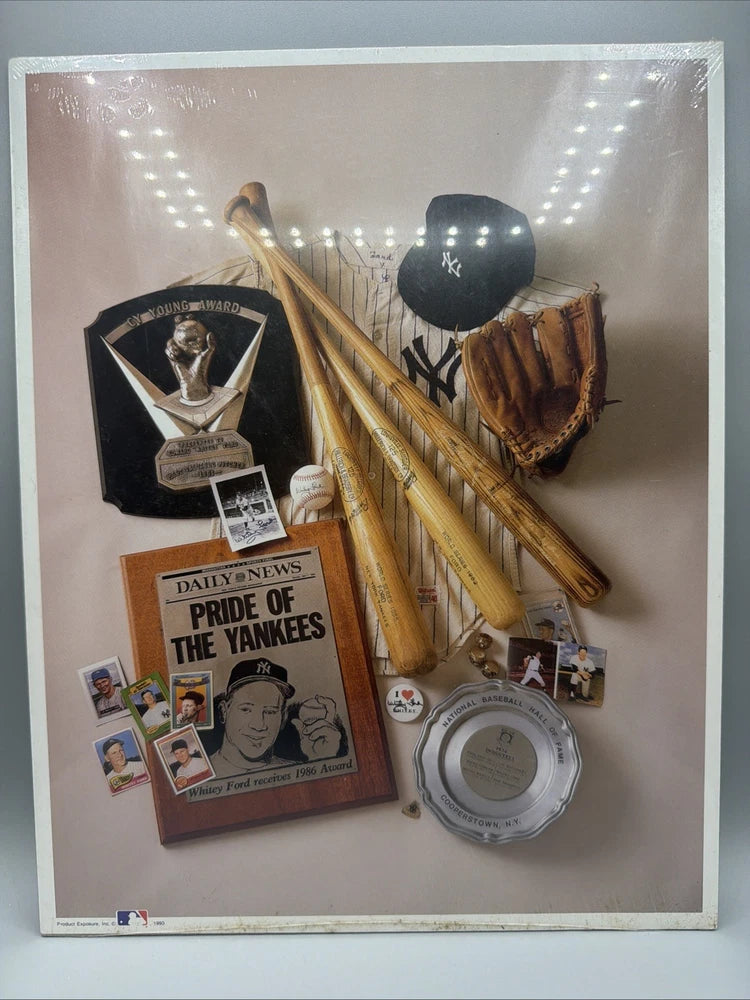 1993 WHITEY FORD "CHAIRMAN OF THE BOARD" PHOTO NO. 12 W/ CERTIFICATE 11x14 Model