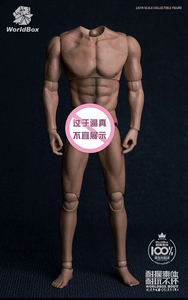 WorldBox AT017 1/6 Male Action Figure Muscular Wide Shoulder Body DIY PVC Model Model