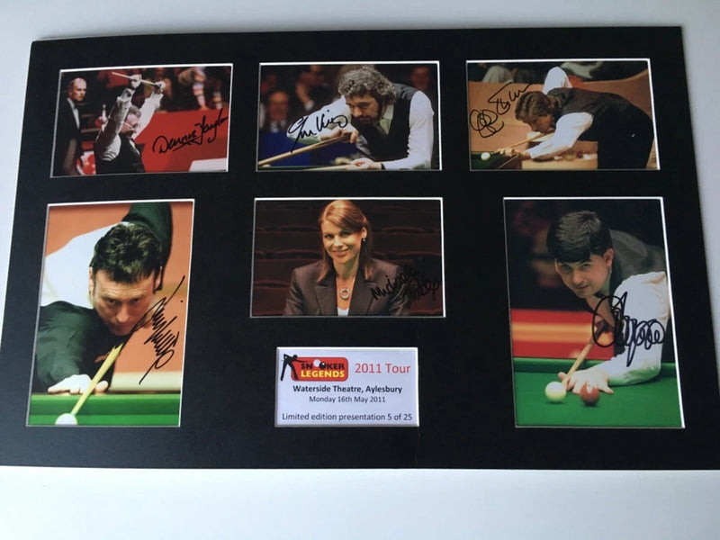 Snooker Legends 2011 Tour Signed Photo board Model
