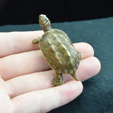 Vintage Brass Turtle Figurine Statue Home Ornaments Animal Figurines Gift Model