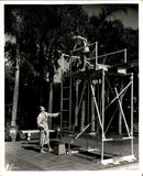 LD410 Original Photo BATHING BEAUTY ON 10 FOOT DIVING BOARD SWIMMING POOL Model