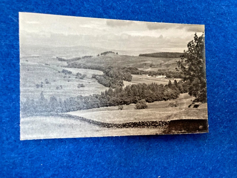 TYNRON AREA  1950S PHOTOGRAPH ON STIFF BOARD  9/13 CM APPROX Model