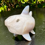 1.6LB Natural Agate Hand Carved Shark Figurine Crystal Gemstone Decor Model