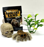 2026 Zuru My Mini Pets Miniature Toy Spider and Accessories Series 1 Model
