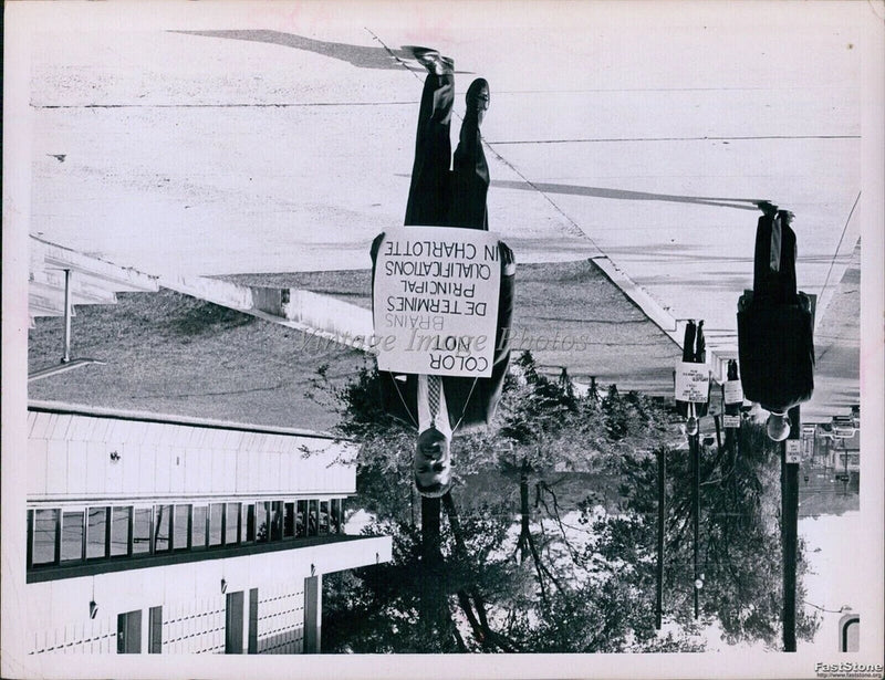 1966 Men Carry Signs County Office Building School Board Civil Rights Photo 6x8 Model