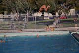 S2362 Boy Jumping Diving Board Dive Action Unusual 1962 35 MM Slide Photo Model