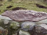 Photo 6x4 Profile map board Kincorth  c2010 Model