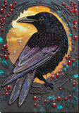 Bird Black raven Bead Embroidery Kit ?C DIY Beaded Home Decor Wall Art Model