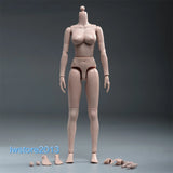 US HENG TOYS 1/6 Suntan Skin Large Bust Girl 12