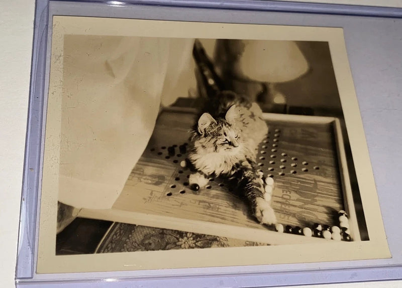 Rare Antique American Kitty Cat Relaxing Chinese Checkers Board Snapshot Photo! Model