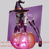 Witch Raven Lady 1/6 Unpainted Model Kit Unassembled 3D Printing 19cmH 001 Ver. Model