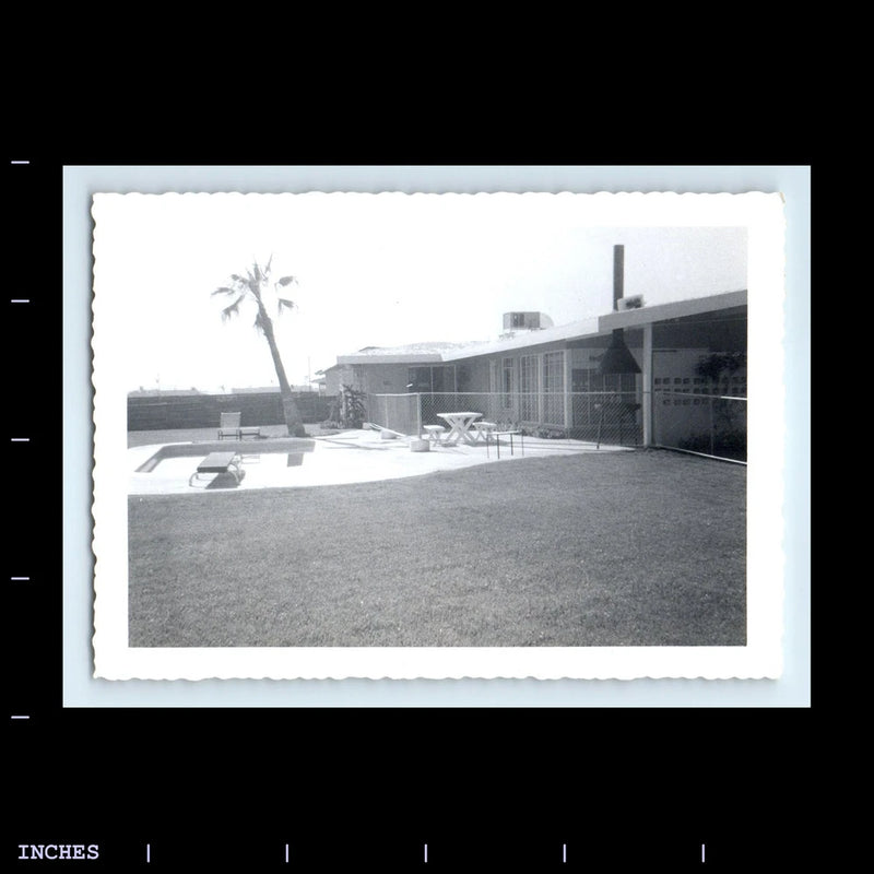 Old Vintage Photo PALM TREE SWIMMING POOL DIVING BOARD 1958 Model