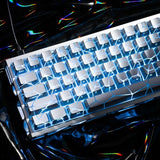 XVX 61 Keys Silver Butterfly Keycap Set Shine Through IMD for 60% Keyboard Model