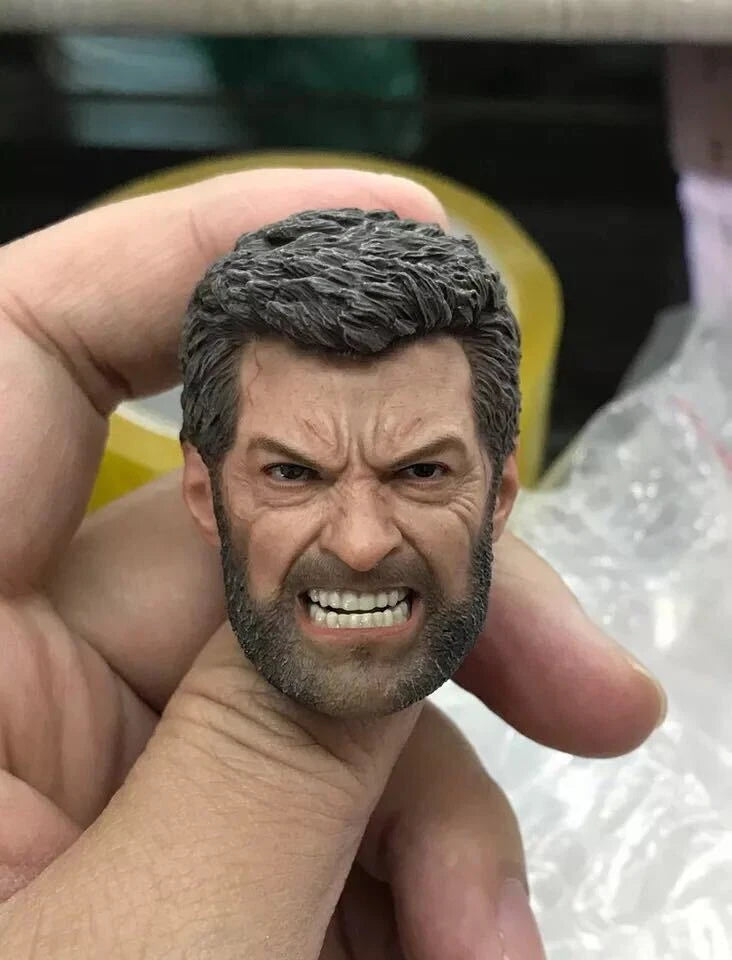 1/6 Scale Angry Oldman Logan Wolverine Head Carving Sculpt Model Toys Model