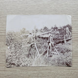 Antique Photograph Victorian Women Crossing Plank Bridge Over Fallen Trees 5x3in Model