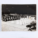 Snapshot Photo Life Size Chess Board And Pieces Model